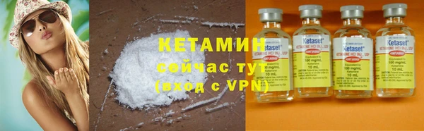 прущие грибы Верея