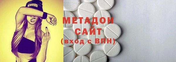 прущие грибы Верея