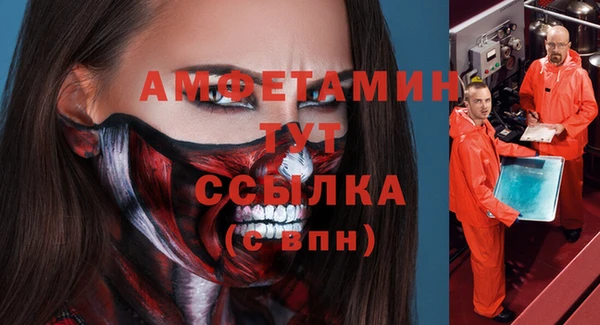 прущие грибы Верея