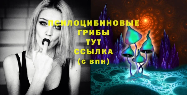 гашиш Няндома