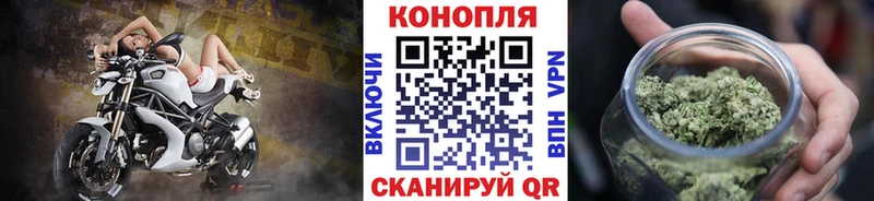 Бошки марихуана VHQ  Любим 
